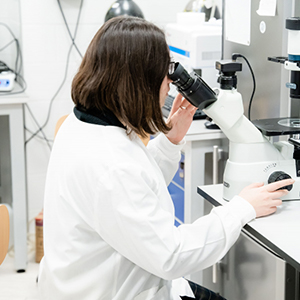 Leading universities in the world that are tackling current industry problems